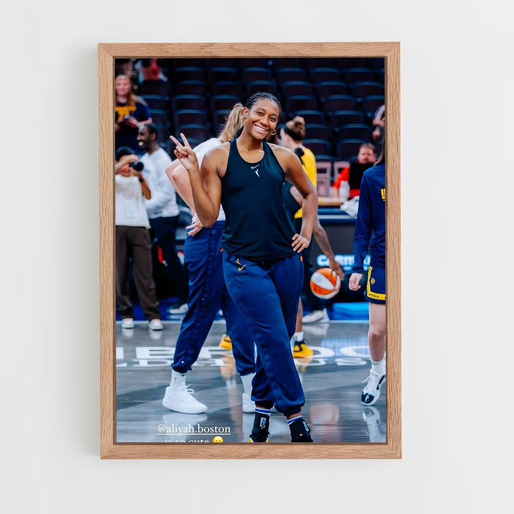 Poster Dance of Champions – affiche Basketball (vue 4)
